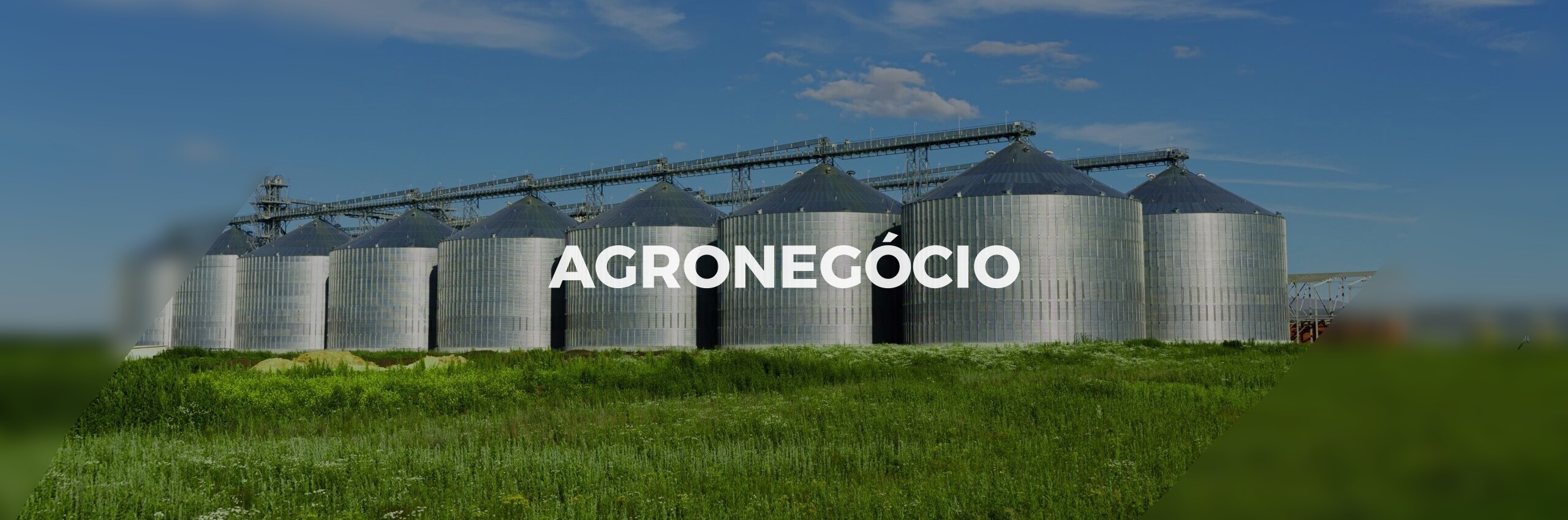 Modern granary, Grain-drying complex. Agricultural building.